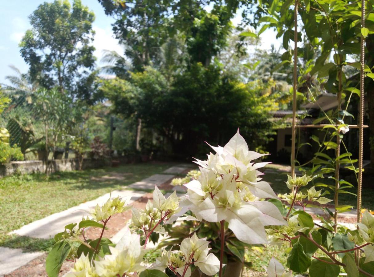 Ging View Villa 高尔 外观 照片